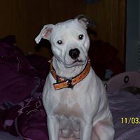 Joseph Kuehner Photo 11