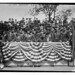 William Bunting Photo 16