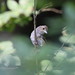 Elizabeth Bunting Photo 16