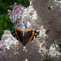 Peggy Kirby Photo 25