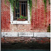 Venecia Perez Photo 8