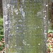 Mary Bateman Photo 12