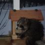 Deborah Wolfe Photo 18