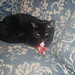 Ronnie Benjamin Photo 7