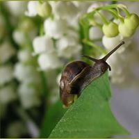 Christine Yoder Photo 22