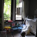 Andrea Boileau Photo 3