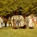 Robert Clamp Photo 6