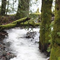 Todd Casteel Photo 5