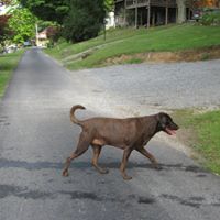 Lora Coffman Photo 6