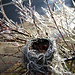 Lydia Biggs Photo 5