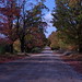 Gary Lester Photo 9