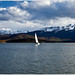 Dillon Miles Photo 9