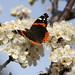Gerald Bloom Photo 10