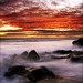 Kyle Cushman Photo 12