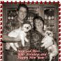 Jeannie Erickson Photo 17