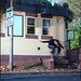 Lewis Jenkins Photo 8