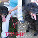 Tommy Vecchio Photo 6