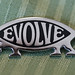 Charles Fish Photo 9