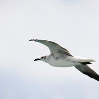 James Overton Photo 23