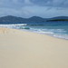 Sandy Dykes Photo 5