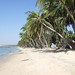 Thuan Phan Photo 13