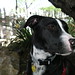 Freddie Walker Photo 3
