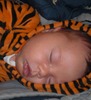 Adam Gavura Photo 5