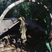 Jerry Tipton Photo 11