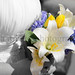 Aubrey Hutchison Photo 4