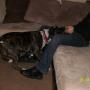 Casey Chambers Photo 22