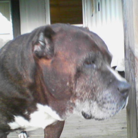 Willie Hall Photo 13