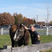 Terrie Mcconnell Photo 8