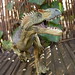 Rex Sharp Photo 6