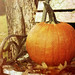 Joshua Settles Photo 10