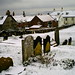 Mary Snow Photo 11
