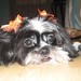 Kristen Webb Photo 8