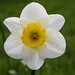 Lily Adams Photo 8