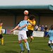Andrew Stevens Photo 10