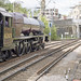 Elizabeth Shipley Photo 7