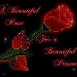 Ravi Ananth Photo 2