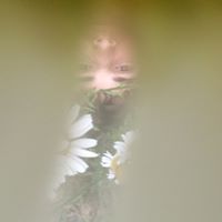Dominic Aversa Photo 5