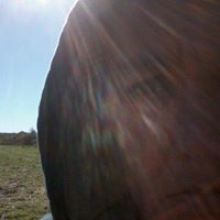 Sherry Bissell Photo 5