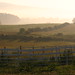 Misty Hays Photo 12