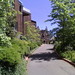 Blaine Bush Photo 5