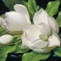 Debra Blalock Photo 7