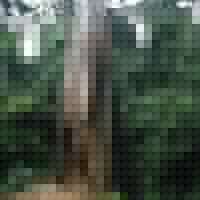 Richard Albers Photo 23