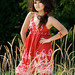 Phoua Vang Photo 13