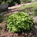 June Reichert Photo 5