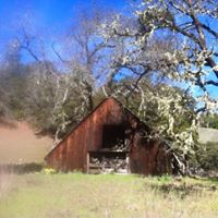 Mike Greenlee Photo 29