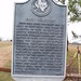 Mary Frey Photo 4